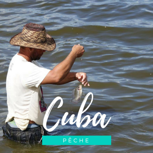Voyage à Cuba: découvrir la pêche cubaine