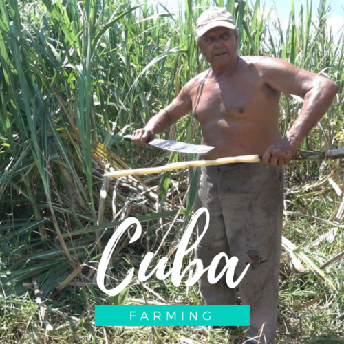 Voager à Cuba et découvrir la vie des paysans cubains