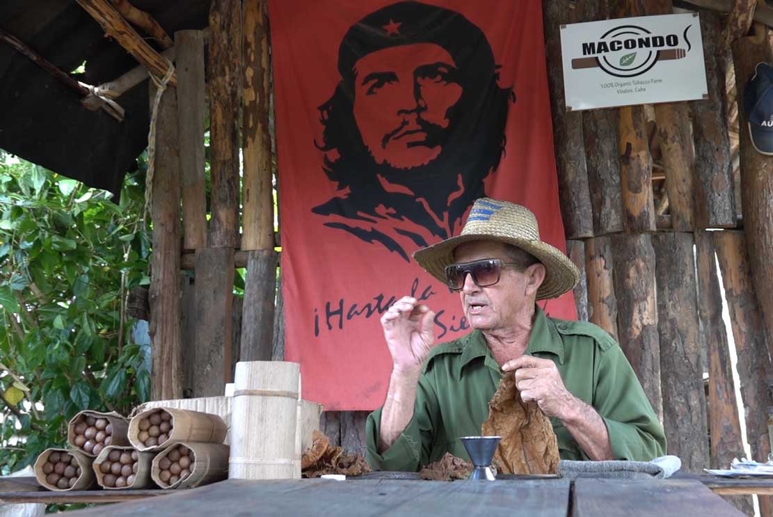 immersion dans une exploitation de tabac cubaine